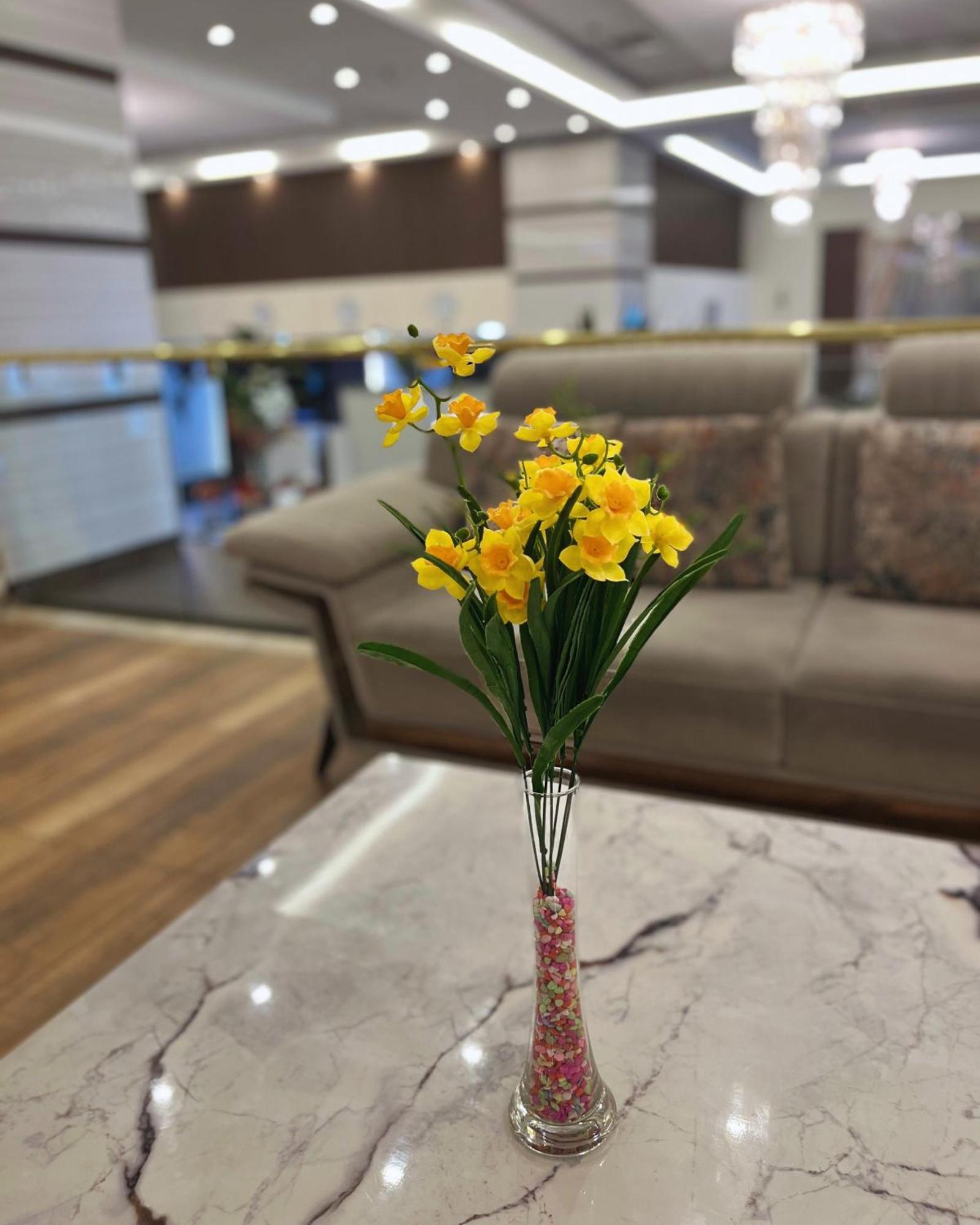 Paradise 4* Amman